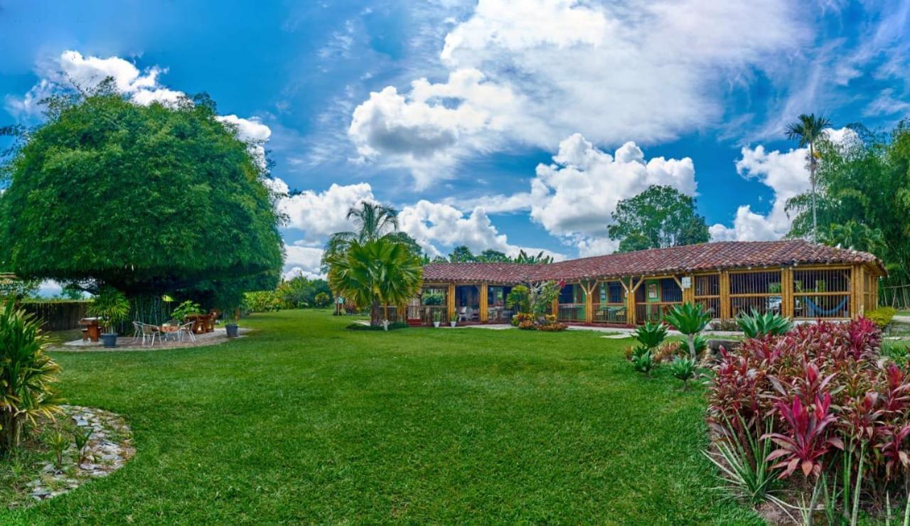 La Negrita 4*